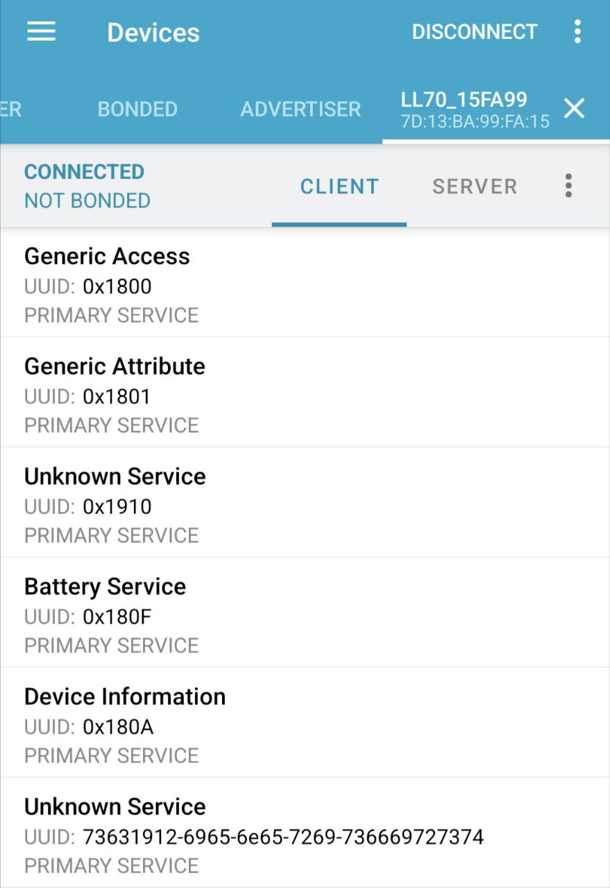 nRF Connect displays the services exposed by the lock